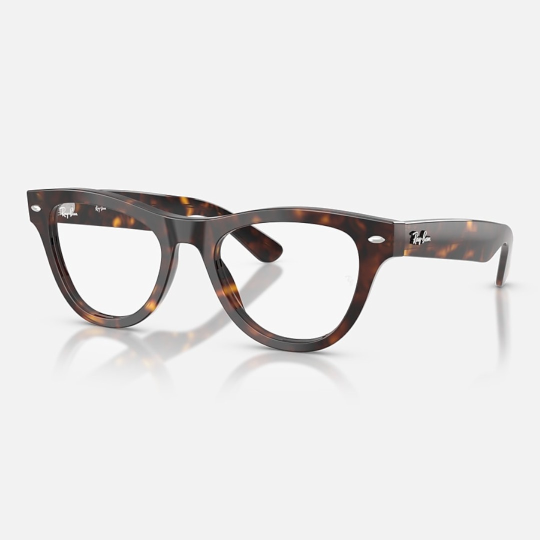 RayBan 0RX5510