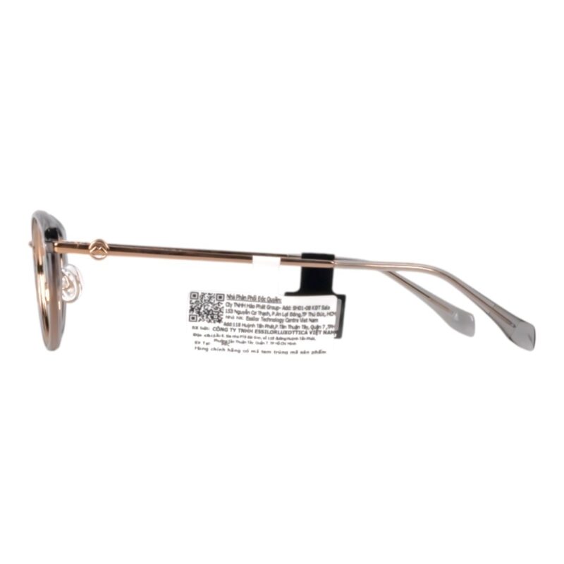 Gọng Kính Mắt Mèo Molsion MA6029 Chính Hãng